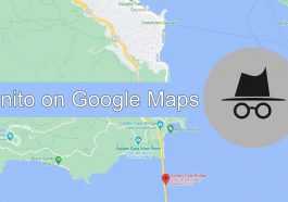 incognito on Google Maps
