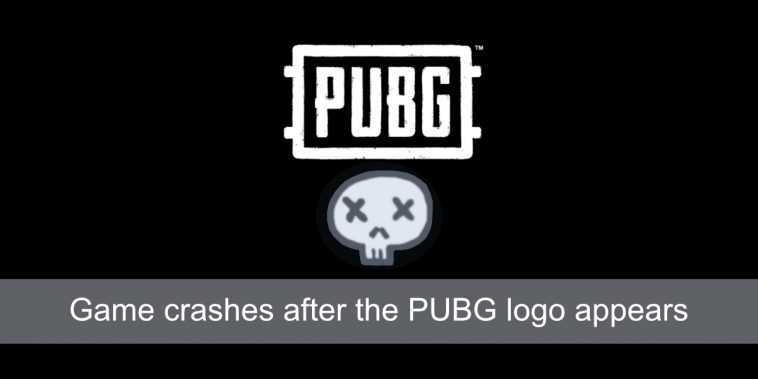 game crashes after the PUBG logo appears