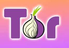 Téléchargez Tor Browser, le navigateur le plus simple pour accéder au réseau Tor