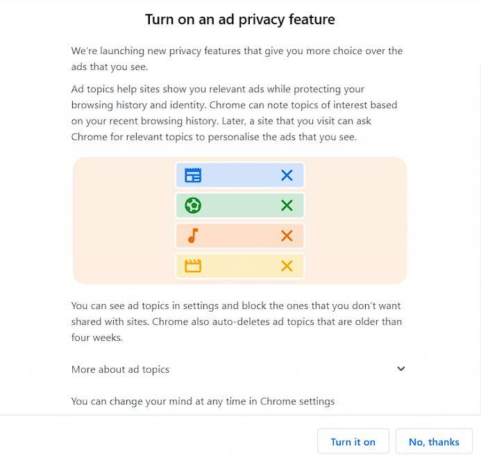 Privacy Sandbox by Google - Avis dans Chrome