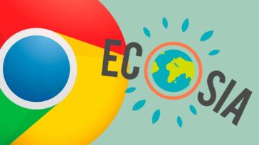 Ecosia, le moteur de recherche qui plante des arbres pour vous : voici comment le configurer dans Chrome